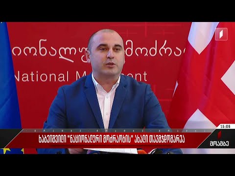 ხაბეიშვილი „ნაციონალური მოძრაობის“ ახალი თავმჯდომარეა