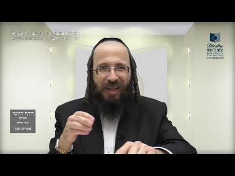 הדף היומי מסכת ביצה דף כח