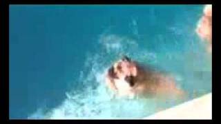 Pug swimming