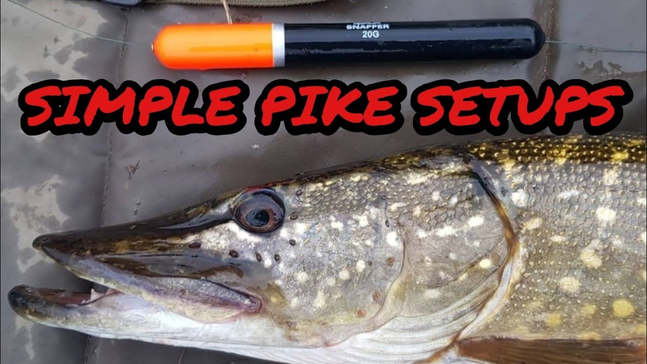 Pike Fishing Basics - Float Ledger and Running Ledger Rigs 