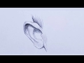 How to draw an ear  pencil sketch drawing  tapas art