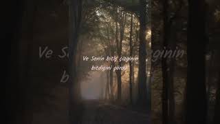 See You Later Graham Türkçe Çeviri