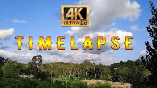 Time Lapse Nature | Realme 8 pro shoot timelapse screenshot 4