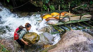 How to Make a Traditional Bamboo Fish Trap and Block a Stream to Catch Fish.