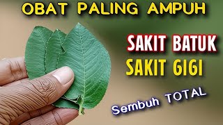 RAMUAN PALING AMPUH‼️SAKIT BATUK DAN SAKIT GIGI LANGSUNG SEMBUH TOTAL, NGGAK KAMBUH KAMBUH LAGI