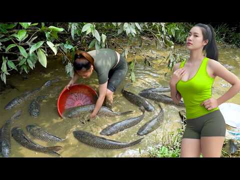 How to Drain a Wild Stream to Catch Fish Like a Pro: A Bountiful Day for a Village Girl