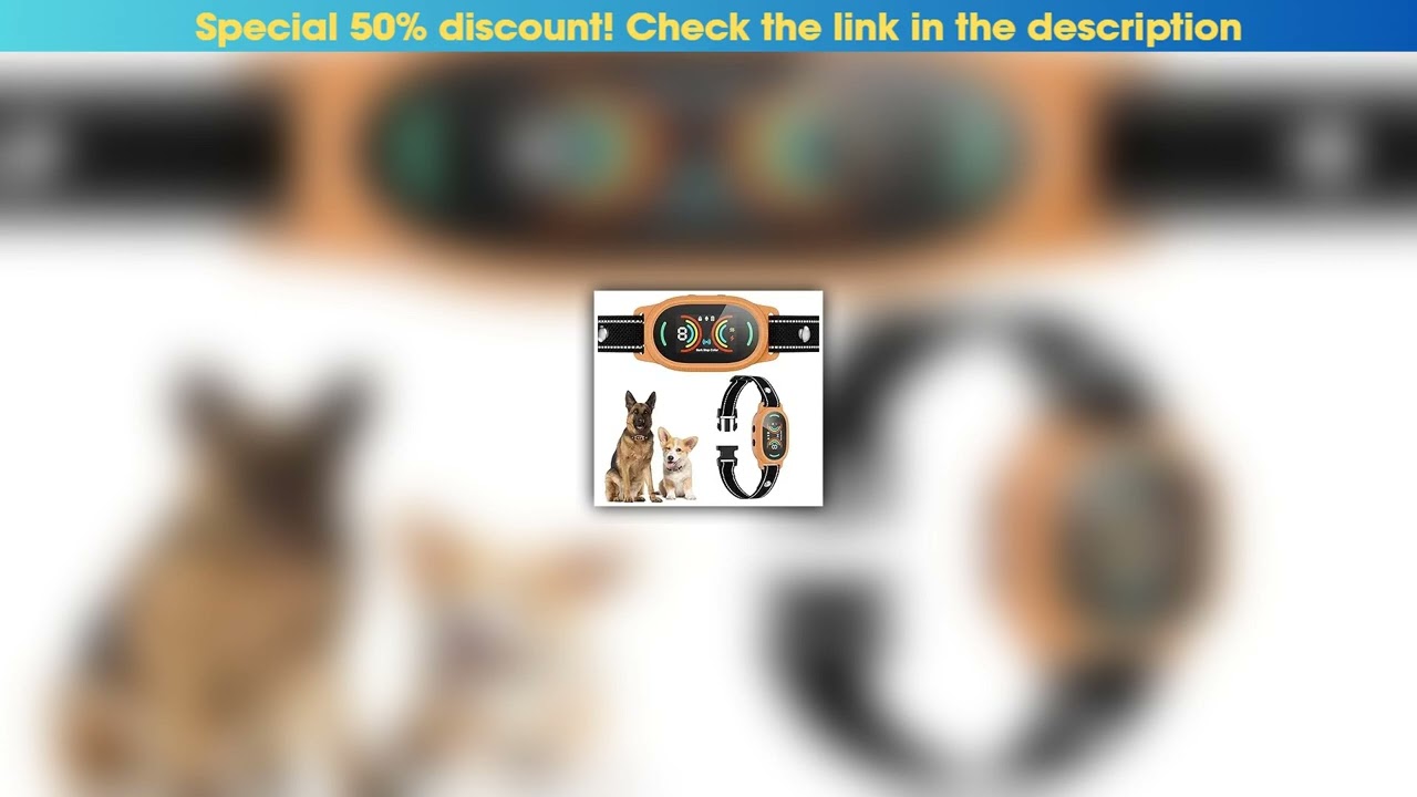 Discount Dog Bark Collar for Large, Medium and Small Dogs with Smart Anti False Triggering AI Chip,