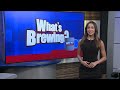 What’s Brewing - Havana WoodFest