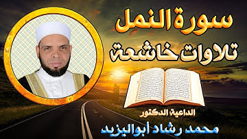 { سورة النمل أروع تلاوة  خاشعة لتهدئة الأعصاب} للقارئ  محمد رشاد أبواليزيد صلاة القيام مسجد الروضة