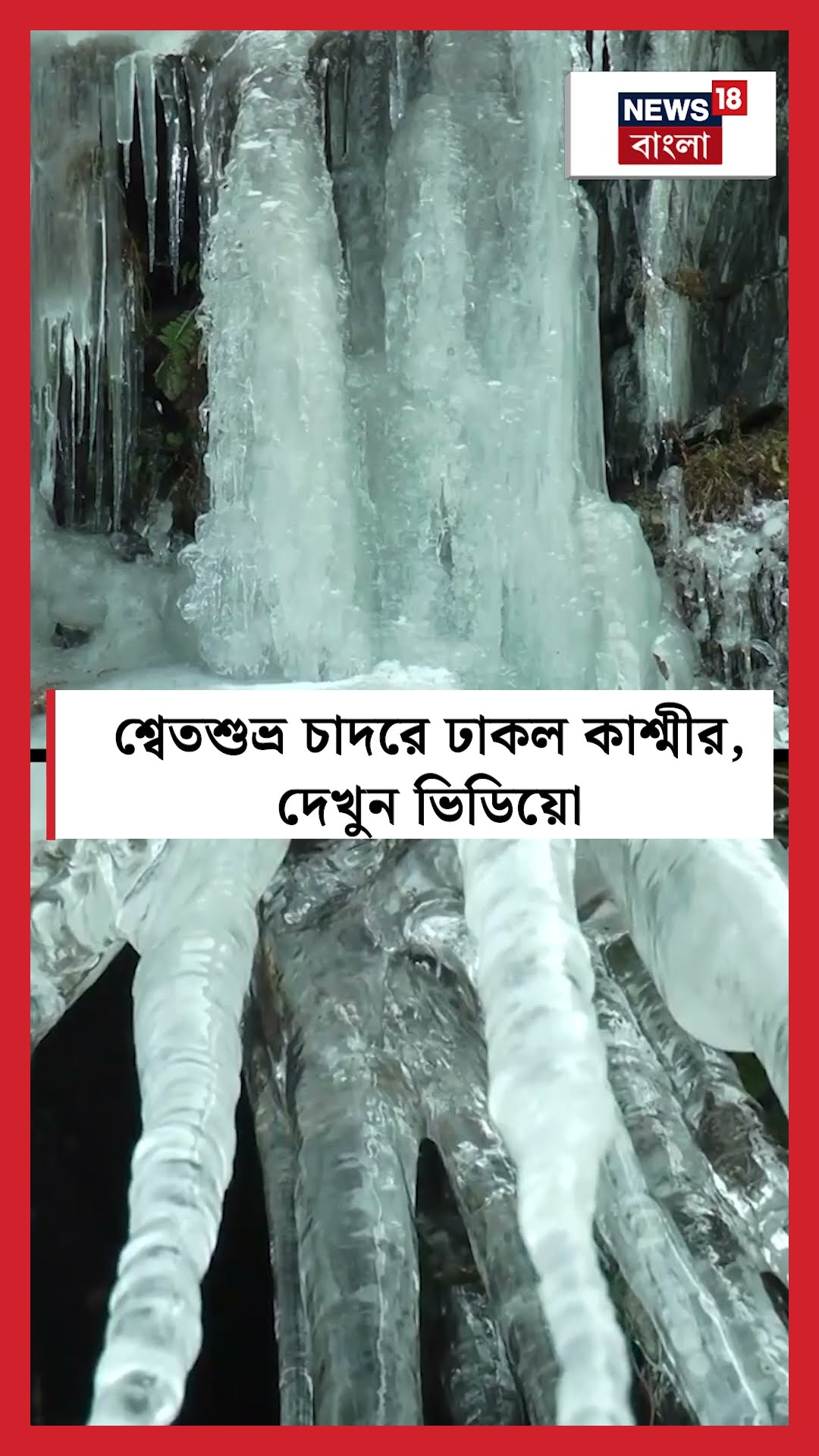 শ্বেতশুভ্র চাদরে ঢাকল Kashmir, দেখুন ভিডিয়ো | N18S #shorts
