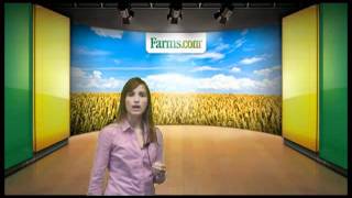 USDA WASDE and Crop Reports Bullish Grain Futures Prices