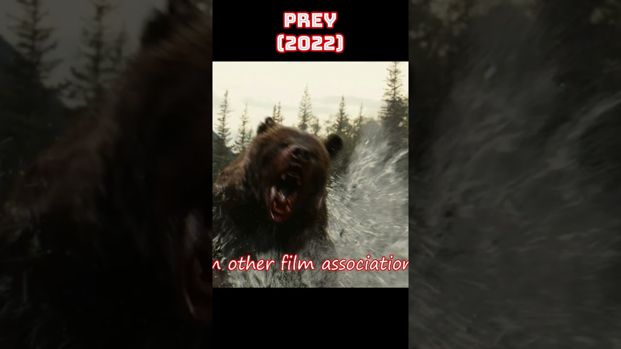 Yautja Alien Predators Hunt in Colonial America - "Prey" (2022) - Bear Fight!