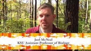 Science Update - Fall Leaves