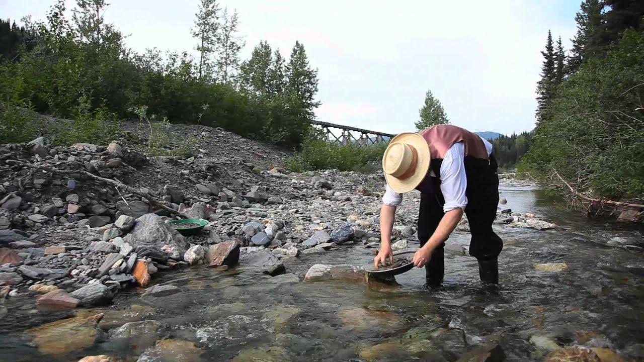 Gold Panning in Williams Creek YouTube
