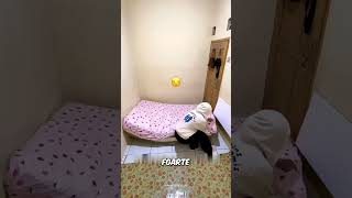 Fata nu a renunțat la visul ei! 💖