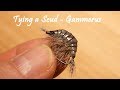 Tying a Scud - Gammarus by William Ensiferum