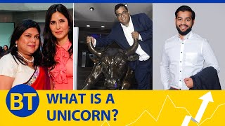 Understanding which companies are called Unicorns