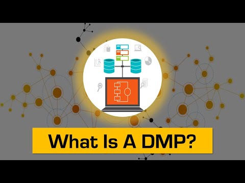 DMP (डेटा मैनेजमेंट प्लेटफॉर्म) क्या है?