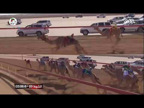 الشوط 23 شروق لـ محمد حمد بن حميد الدرعي 4 28 1 تأهيلي الوثبة 2021 10 14 الوثبة حقايق 