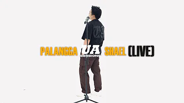 Palangga - Shael (UA LIVE SESSIONS)