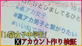 “14歳女子中学生”のSNSアカウント作り検証 犯罪者はどんな投稿を狙うのか「SNSな人々」第15回