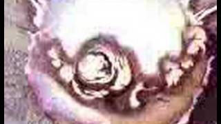 Robotech Original Moltar Intro