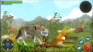 Wolf Game Wild Animal Wars - Android Gameplay