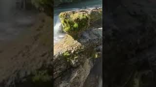 Allahumma Inni Audhu Bika Minal Hammi Wal Hazan