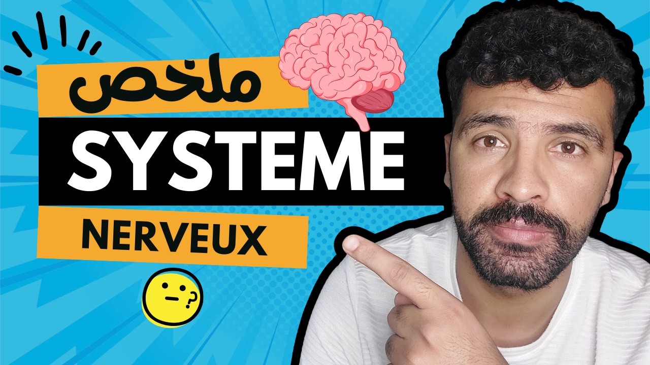 le système nerveux 3ème année collège - اجي تفهم الحواس