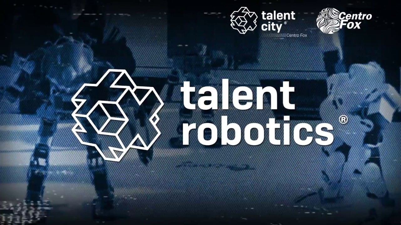 Talent Robotics liderazgo tipos