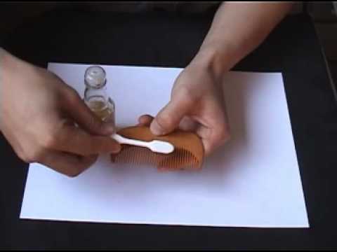 つげの櫛のお手入れ Youtube