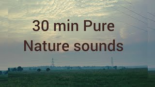🍃Birds sound ASMR 🕊️🐦// #asmr #nature #lifeisbutadream #villagelife