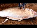 Superg-iant Bluefin Tuna Perfect and Fast Cutting Skill