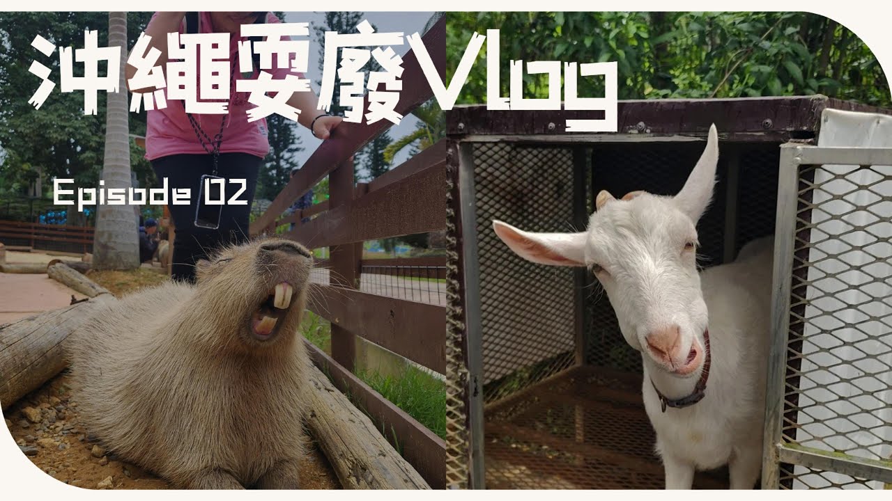 【2025/10 沖繩耍廢Vlog】EP02. 美らヤシパークオキナワ・東南植物楽園