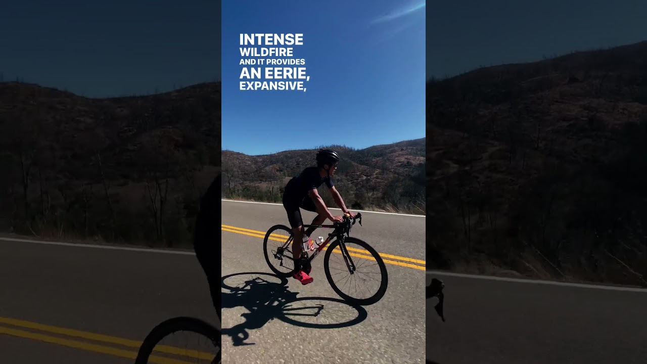 Napa Valley Road Cycling