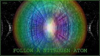 Follow a nitrogen atom.