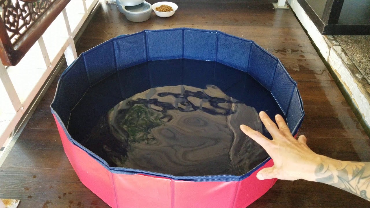 SURPCOS Foldable Dog Pool - Folding Dog/Cat Bath Tub - Collapsible Pet Spa Review 04/2020