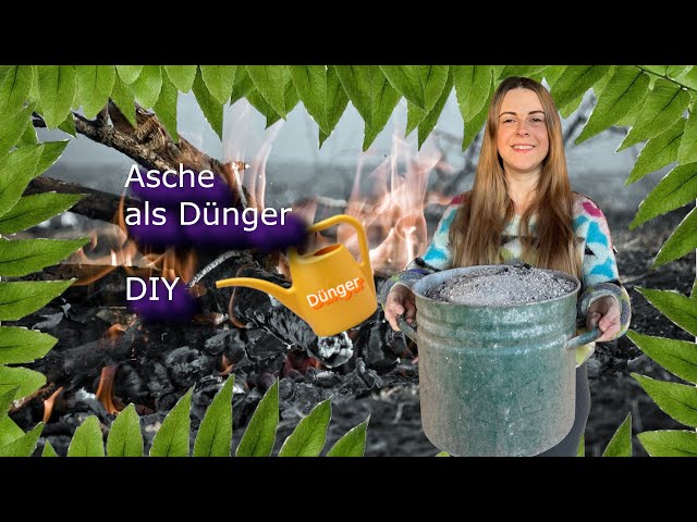 Make your own fertilizer from ash easily | Fertilizer | DIY - YouTube