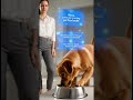 Amazon Launches Alexa for AI AssistantsShopping #AmazonAlexa #अमेज़नएआई #亚马逊购物 #AmazonBrasil