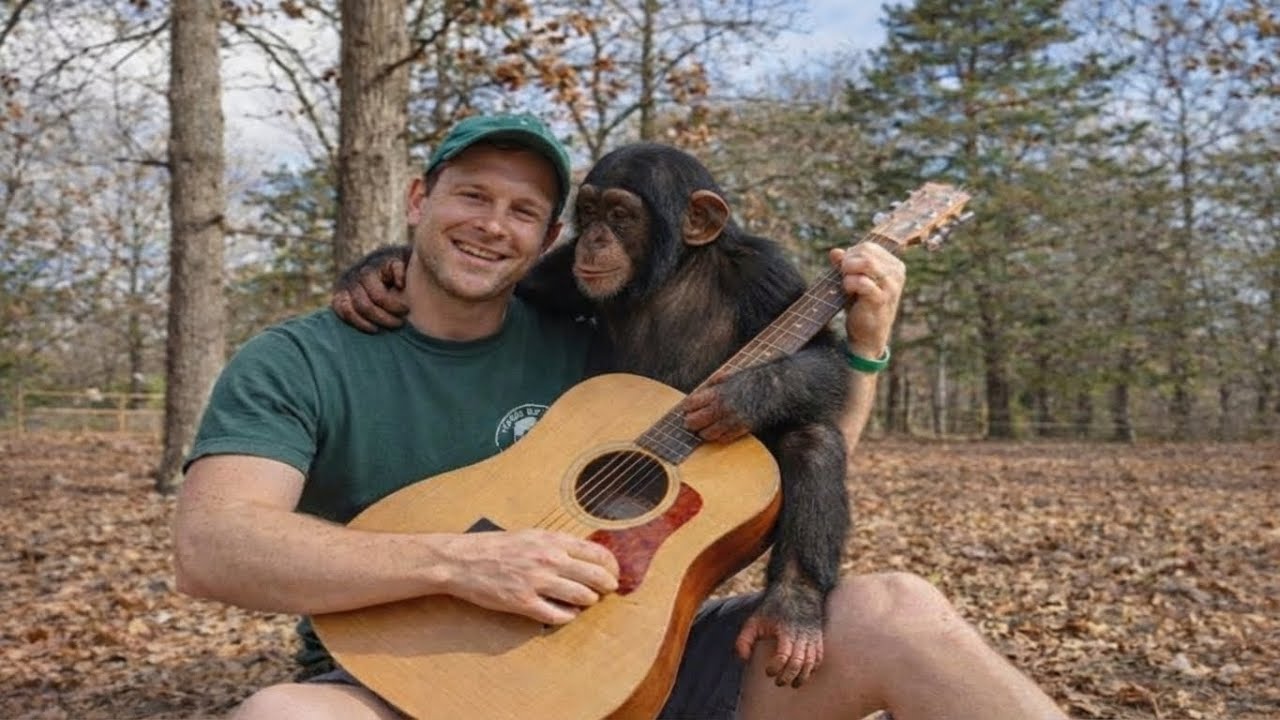 This Baby Chimp Loved One Man’s Guitar — Until the Morning He Was Gone