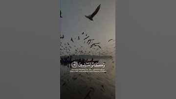 حالات واتس اب دينية❤️ //مقاطع دينية قصيرة مقاطع انستقرام دينية💙 //القارئ يوسف المعاطي🌸
