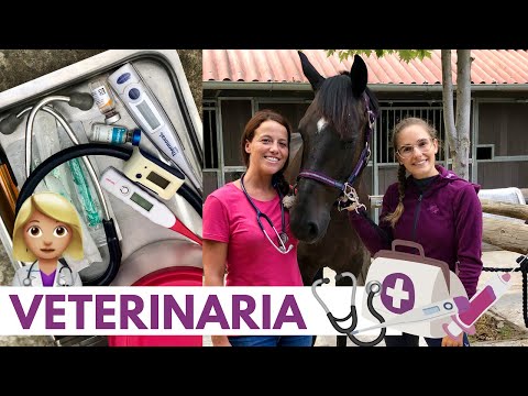 Video: ¿Liberty University tiene un programa veterinario?