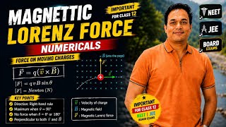 NUMERICALS | MAGNETIC LORENTZ FORCE | MOVING CHARGES AND MAGNETISM | NEET | JEE | 12TH PHYSICS |