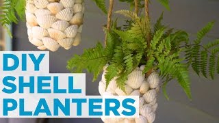 DIY Hanging Shell Planter | HGTV