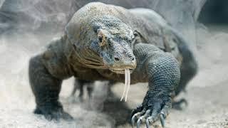 Download Lagu (Free sound) last night - marco lazovic MP3