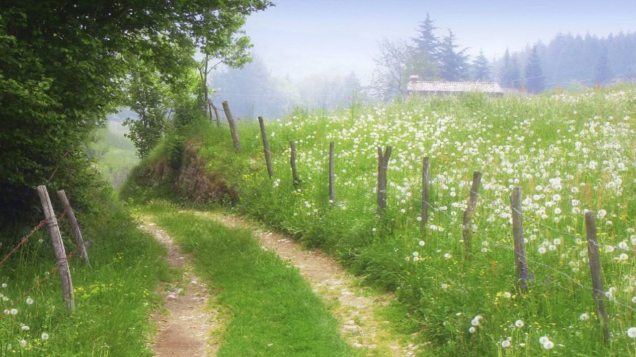 a playlist for a quiet, comfort heart☀️🌱 (reading, writing & studying)