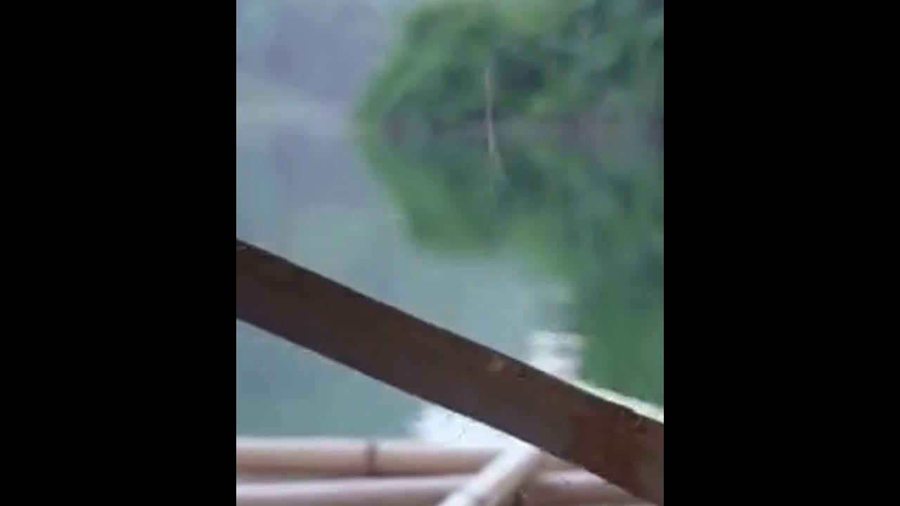 Karina’s Wild Adventure | Slept on Tree Roots Like a Bed 