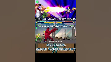 The Happy Birthday X Factor Double KO Terry Bogard Ikemen Shorts Mugen 