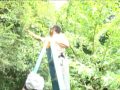 Pruning Basics