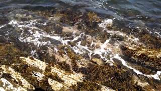 Cliff Island Meditation